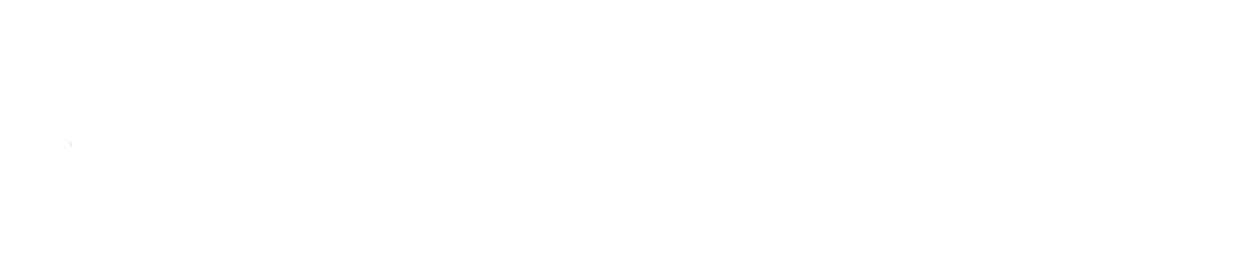 Cannect_logo_WIT_Z
